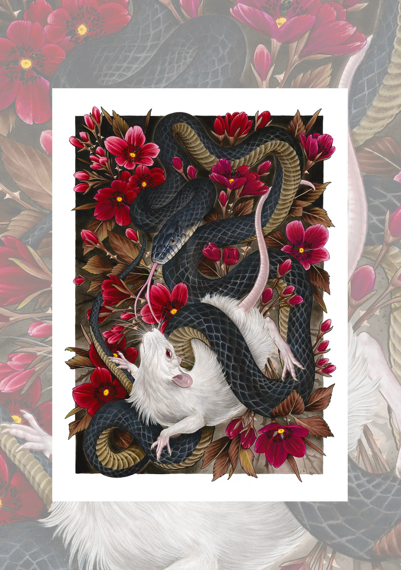 Antony Flemming | Provenance